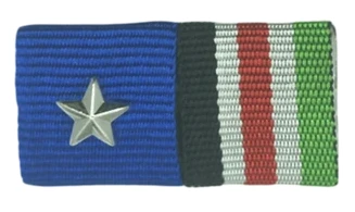 Walther Kurt Nehring