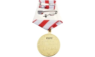 “30 Years in the Army and Navy” Medal