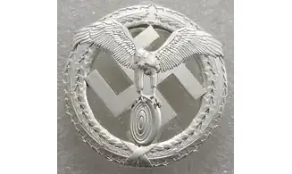 Insignia Deportes de motor NSKK plata