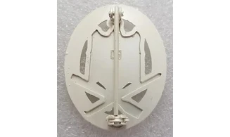 Silver General Assault badge