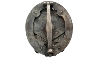 Silver 25 General Assault badge (OD)