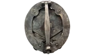Silver 50 General Assault badge (OD)