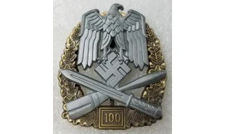 Silver 100 General Assault badge