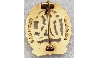 Gold Sports DRL badge