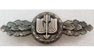 LW Long Range Fighter Badge (OS)