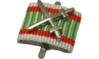 Hungary Fighter Medal