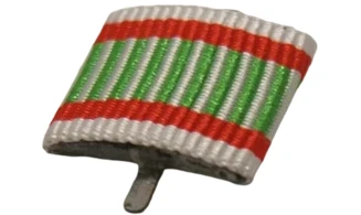 Hungary Fighter Medal