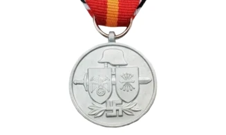 Medalla de Plata División Azul