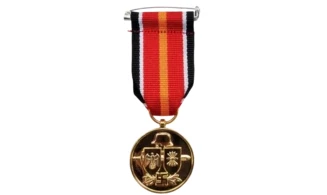 Division Azul Gold Medal