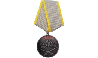 “For Combat Merit” Medal